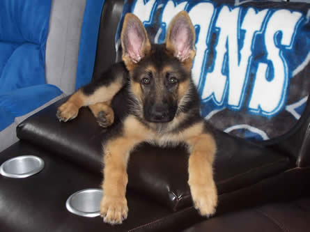 Sergeant