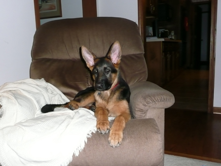 Bella