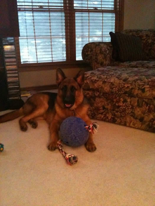 Jett