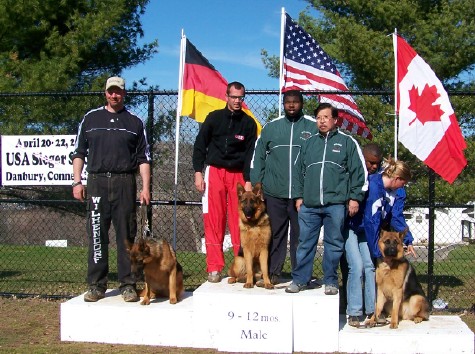 Ilac Sieger Show