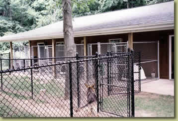 German Shepherd Breeder